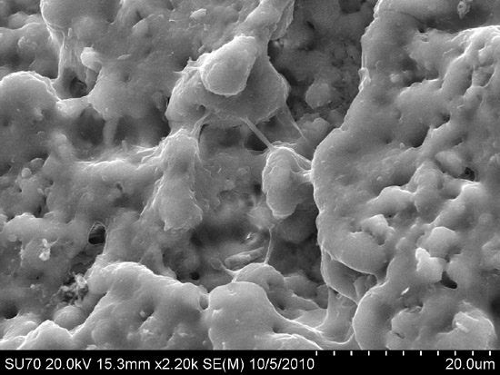 Cermedia Scan Cermedia Scan