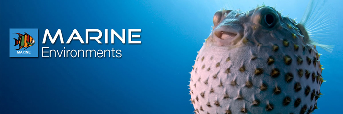 MarinePure MarinePure
