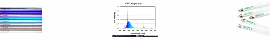 T5 & VHO Lamps T5 & VHO Lamps