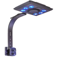 Maxspect JUMP LED Blue Light 65 watts