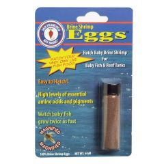 SAN FRANCISCO BAY BRINE SHRIMP EGGS