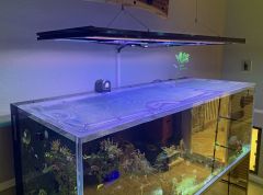 Top Lids CADE Peninsula 1800 S2 Custom Polycarbonate Aquarium Lid