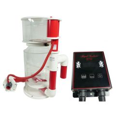 Royal Exclusiv Bubble King DeLuxe 300 internal + BK DC 24V