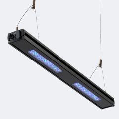 Reef Breeders Edge 24