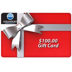 $100.00 Gift Certificate