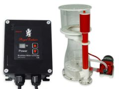 Royal Exclusiv Bubble King Double Cone 200 + RD3 Speedy