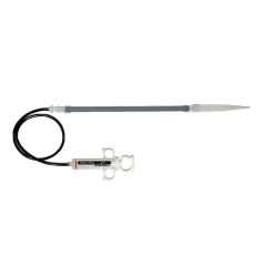 Two Little Fishies Julians Thing