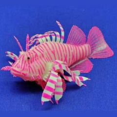 Eshopps Pink Lionfish