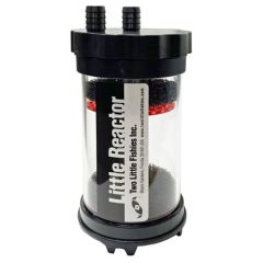 Two Little Fishies Little Reactor