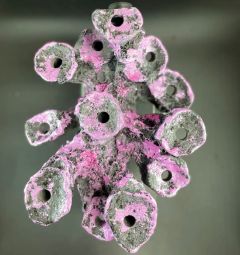 AquaRocks Peninsula 12 Holed Mag Branch Rock