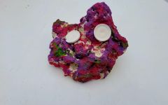 Biotek Marine ARK Frag Rock Island Dreams- 2 Frag Holes- 5″× 6″