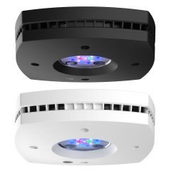 AQUA ILLUMINATION PRIME 16HD LED FIXTURES