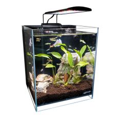Lifegard 5 Gallon Elevated 45° Degree Low Iron Ultra Clear Aquarium