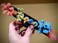 Slide-Loc Magnetic Frag Rack