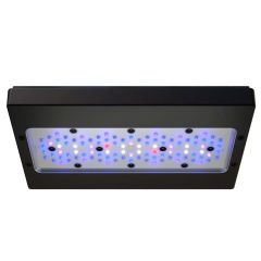Ecotech Marine Radion XR30w Blue Gen 6 LED