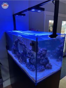 Top Lids Waterbox Clear Pro Peninsula 3620 Custom Polycarbonate Aquarium Lid