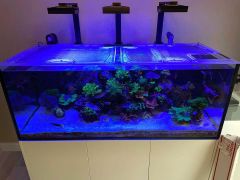 Top Lids Waterbox Reef 180.5 Custom Polycarbonate Aquarium Lid