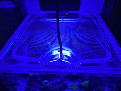 Top Lids Waterbox Reef 70.2 Custom Polycarbonate Aquarium Lid