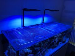 Top Lids Waterbox Reef LX 270.6 Custom Polycarbonate Aquarium Lid