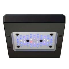 Ecotech Marine Radion XR15w Blue Gen 6 LED