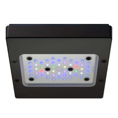 Ecotech Marine Radion XR15w PRO Gen 6 LED