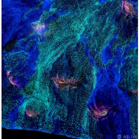 ASL Space Ghost Chalice