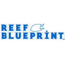 Reef Blueprint Coral8 Yin: Calcium & MT Component