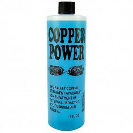 Endich Copper Power Treatment Saltwater