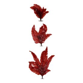 Red Marine Seaweed