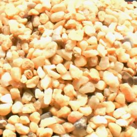 Dymax Golden Gravel, 4kg