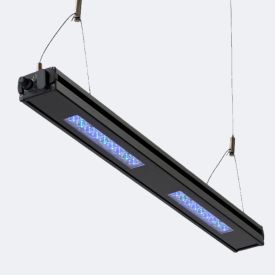 Reef Breeders Edge 24