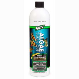 Fritz Algae Clean Out