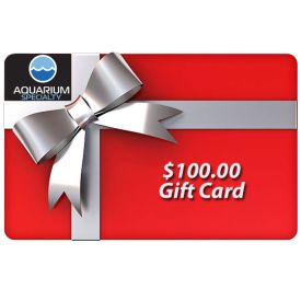 $100.00 Gift Certificate