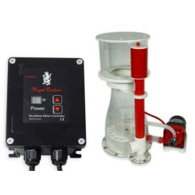 Royal Exclusiv Bubble King Double Cone 200 + RD3 Speedy