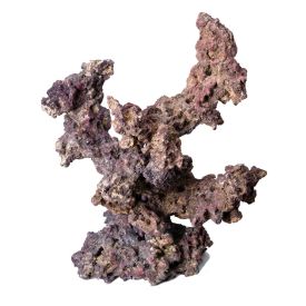 CaribSea LifeRock Reef Tree with Arches