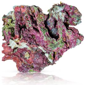 Biotek Marine Aussie Live Rock By the Pound - 10 LB Minimum Order