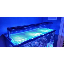 Top Lids Red Sea Max-S 650 Custom Polycarbonate Lid