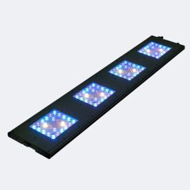 Reef Breeders Meridian 45