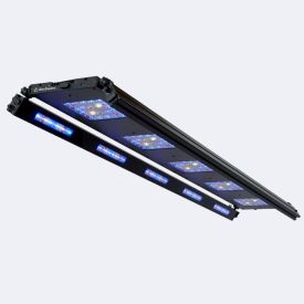Reef Breeders Meridian 45 Edge Bar Bundle