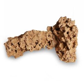 CaribSea Moani Shrooms (2pk)