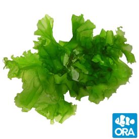 ORA Aquacultured Ulva