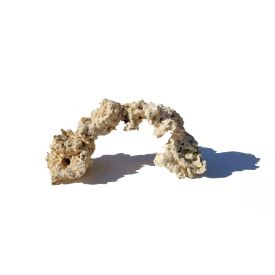 Biotek Marine Medium Premium Arch Rock 17″x8″ 8-10lbs.