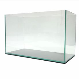 Lifegard 20 Gallon Rimless Clear Glass Aquarium