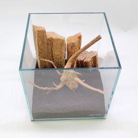 Lifegard 1 Gallon Ultra-Low Iron Nano Rimless Cube Tank