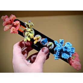 Slide-Loc Magnetic Frag Rack