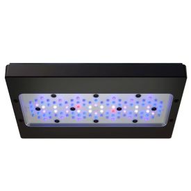 Ecotech Marine Radion XR30w Blue Gen 6 LED