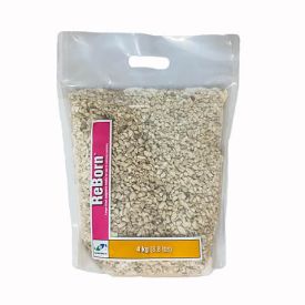 Two Little Fishies Reborn - Little Pieces