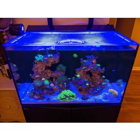 Top Lids Red Sea Max-E 260 Custom Polycarbonate Lid