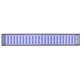 Reef Brite LumiLite Pro Actinic Blue LED