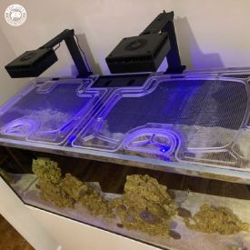 Top Lids Red Sea Reefer 350 Custom Polycarbonate Lid